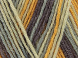 Heart & Sole 4 Ply Yarn Kit