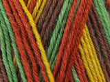 Heart & Sole 4 Ply Yarn Kit