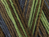 Heart & Sole 4 Ply Yarn Kit