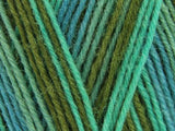 Heart & Sole 4 Ply Yarn Kit