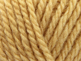 Fossil