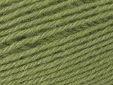 Fern