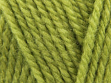 Fern