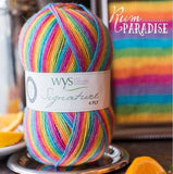 West Yorkshire Spinners Signature 4 Ply Cocktails