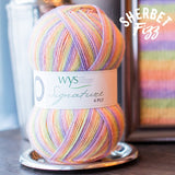 West Yorkshire Spinners Signature 4 Ply Cocktails