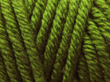 Deramores Studio Chunky - Fir (70818)