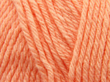 Pretty Coral