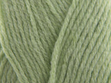 Summer Lime