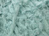 Foamy