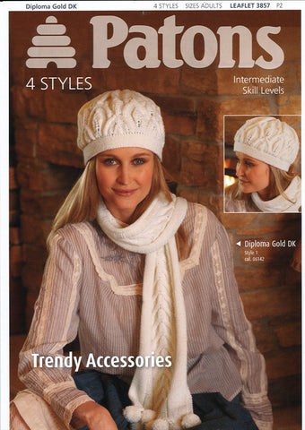 Trendy Accessories in Patons Diploma Gold DK (3857)