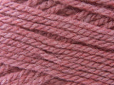 Tudor Rose