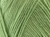 Pastel Green