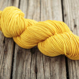 Vivacious DK Sunshine 804
