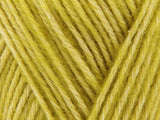Scheepjes Stone Washed XL