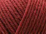 Raspberry