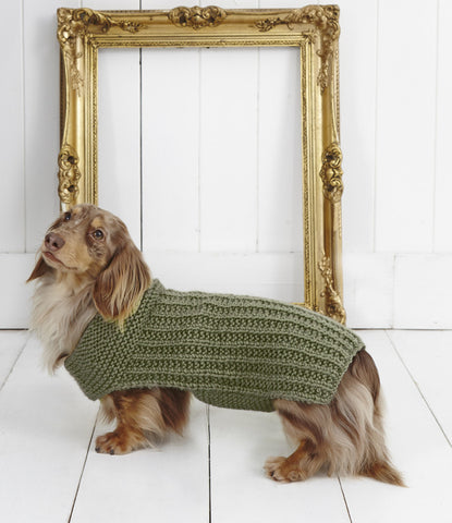 Ribbed Dog Coat in Stylecraft Life Chunky (9178)