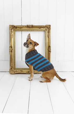Striped Dog Coat in Stylecraft Life Chunky (9179)