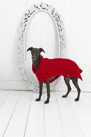 Cabled Dog Coat in Stylecraft Life Chunky (9180)