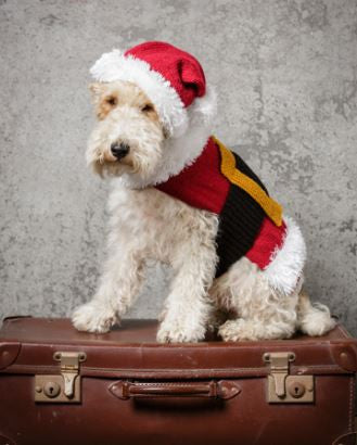 Santa Dog Coat & Hat in Special DK and Eskimo DK (9310)