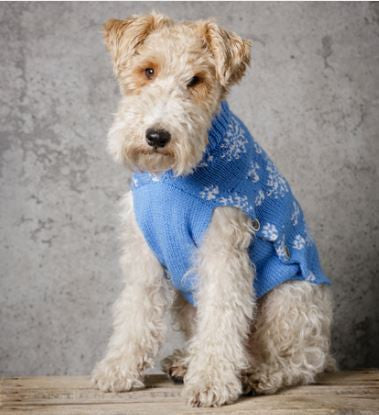 Snowflake Dog Jacket in Special DK (9311)