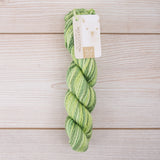 Blue Sky Organic Cotton Worsted Multi - Gherkin (6802)