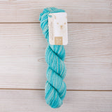 Blue Sky Organic Cotton Worsted Multi - Slushie (6803)