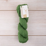 Blue Sky Organic Cotton Worsted - Pickle (633)