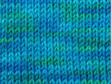 SweetGeorgia Superwash Worsted