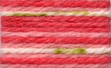 Hayfield Baby Blossom Chunky