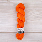 Hedgehog Fibres Sock Yarn