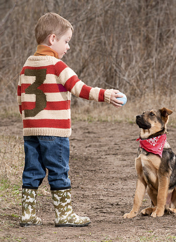 Lucky Number Pullover in Spud & Chloe Sweater