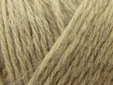 Pumice