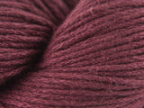 Raspberry