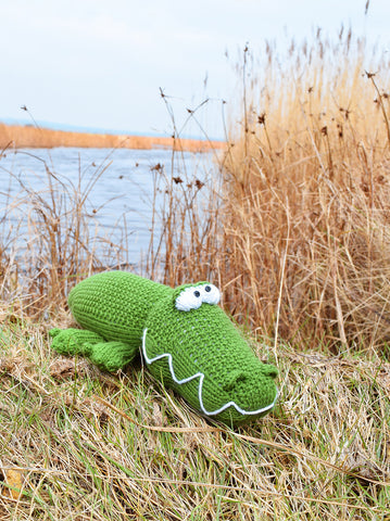 Andy the Alligator in Deramores Studio DK - Digital Version