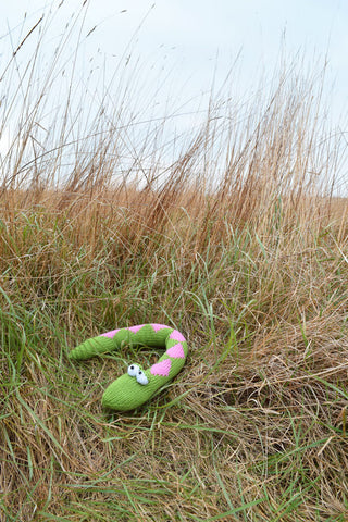 Susie the Snake in Deramores Studio DK - Digital Version