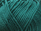 Dark Teal