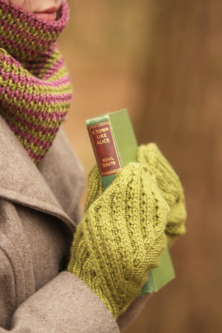 Hinksey in Fyberspates Scrumptious Aran