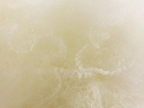 Groves Toy Stuffing 250g