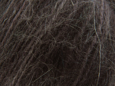 Black Elder
