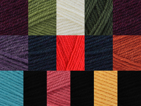 Stylecraft Frida’s Flowers CAL Pack – Life DK