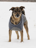 Blue Island Dog Sweater in Blue Sky Woolstok (201610)