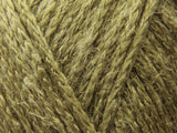 Lichen