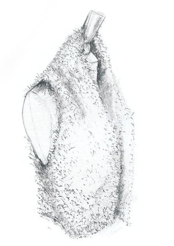 Fur Gilet - Erika Knight