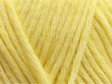 Scheepjes Stone Washed XL