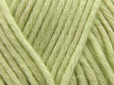 Scheepjes Stone Washed XL
