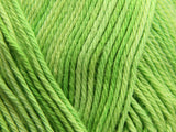 Spearmint Green