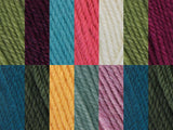 Stylecraft Lily Pond Blanket Life DK CAL Colour Pack
