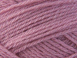 Pale Rose