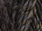 Tortoiseshell