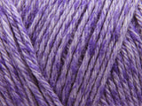 Elderberry